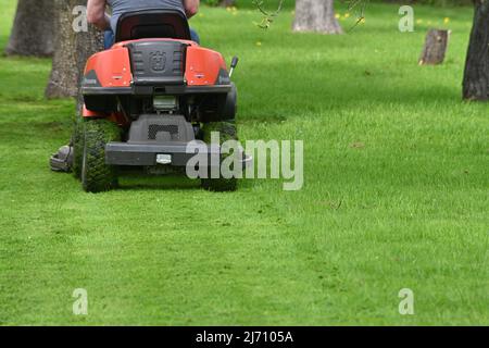 Ein Mann, der auf dem Rasenmäher einen Rasen mäht Stockfoto