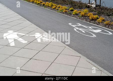 Straßenmarkierungen, Fußgänger- und Fahrradschilder auf der Straße. Gehweg für Fußgänger und Radfahrer auf asphaltierter Fläche im Park. Keine Personen. Stockfoto