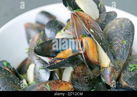 Nahaufnahme von köstlichen belgischen gedünsteten Muscheln in Weißwein und Knoblauch oder Moules Mariniere Stockfoto