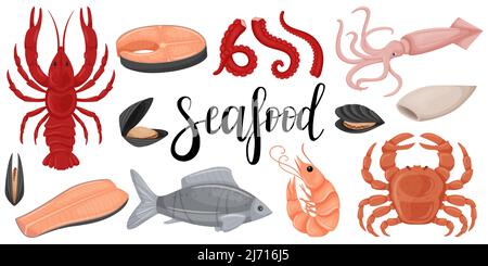 Meeresfrüchte-Set. Roher Tintenfisch, Tintenfisch, roter Fisch, Filet, Muscheln, Krabben, Flusskrebse, geschlachtener Tintenfisch, Lachssteak. Eine Kollektion im flachen Cartoon-Stil. Farbe Stock Vektor