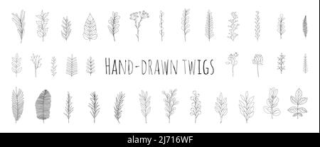 Ein Satz von 37 handgezeichneten Zweigen mit Blättern. Doodle-Stil. Botanical, Pflanzenelemente für die Gestaltung von Postkarten, Einladungen, Erstellen gemusterter Pinsel. Ist Stock Vektor