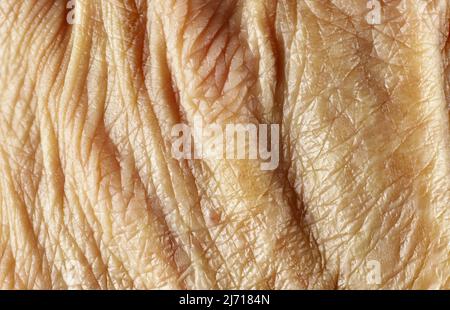 Super-Makro-Ansicht der gealterten Haut auf dem Handrücken Stockfoto