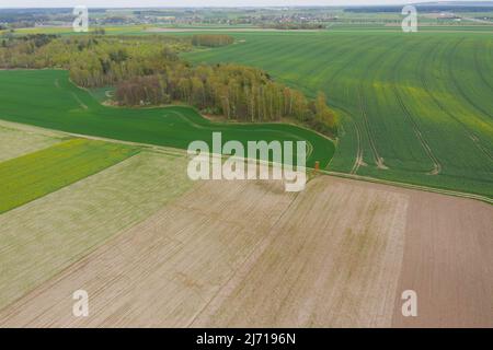 Eine weite Ebene, die mit Ackerfeldern und Wiesen bedeckt ist. An einigen Stellen kann man Baumklumpen sehen. Der Himmel ist leicht bewölkt. Foto von der Drohne. Stockfoto