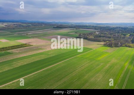 Eine weite Ebene, die mit Ackerfeldern und Wiesen bedeckt ist. An einigen Stellen kann man Baumklumpen sehen. Der Himmel ist leicht bewölkt. Foto von der Drohne. Stockfoto