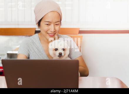 Kaukasische freiberufliche Frau mit ihrem pommerschen Hund, während sie zu Hause am Laptop arbeitet. Stockfoto