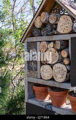 Habitatstruktur von Bienen und Wespen mit gebohrten Löchern, in denen Insekten überwintern und nisten können. Stockfoto