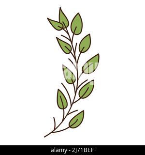 Abstrakter Zweig mit grünen Blättern. Ein Grashalm. Botanisches, pflanzliches Designelement mit Umriss. Doodle, handgezeichnet. Flaches Design. Farbvektor illustrr Stock Vektor