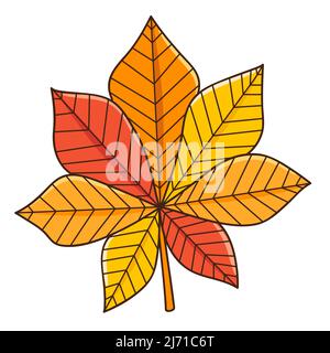 Rotes und gelbes Kastanienblatt. Herbstblatt. Botanisches, pflanzliches Designelement mit Umriss. Doodle, handgezeichnet. Flaches Design. Darstellung von Farbvektoren. I Stock Vektor