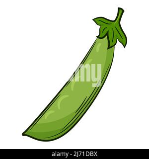 Pea-Pod. Ein Gemüse im linearen Stil, von Hand gezeichnet. Lebensmittelzutat, Design-Element.Farbe Vektor-Illustration mit Umriss. Isoliert auf einem weißen Bac Stock Vektor