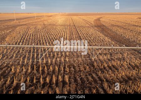 Turpin, Oklahoma - Zentrum Pivot Bewässerungsanlagen im frühen Frühjahr auf einer Farm in der Oklahoma Panhandle. Stockfoto