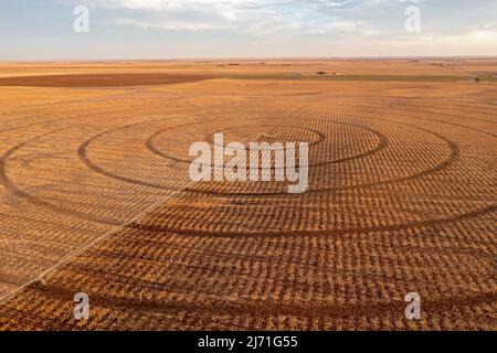 Turpin, Oklahoma - Zentrum Pivot Bewässerungsanlagen im frühen Frühjahr auf einer Farm in der Oklahoma Panhandle. Stockfoto