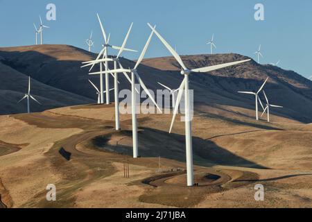 Windfarm, einheimische Flora, mit Blick auf die Columbia River Gorge, abends Licht, Washington. Stockfoto