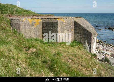 Betonbunker in einer mehr als 500 km langen Verteidigungslinie mit 1063 Betonbunkern entlang der Küste von Scania, die WW2 zwischen 1939 und 1940 erbaut wurde. Jetzt Stockfoto