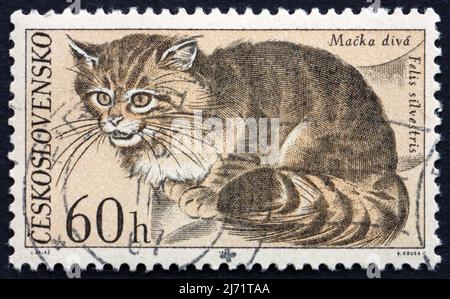 TSCHECHOSLOWAKEI - UM 1967: Eine in der Tschechoslowakei gedruckte Marke zeigt Wild Cat, Felis Silvestris, Small Cat, um 1967 Stockfoto