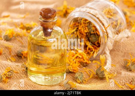Calendula officinalis - Calendulaöl in Einer Glasflasche Stockfoto