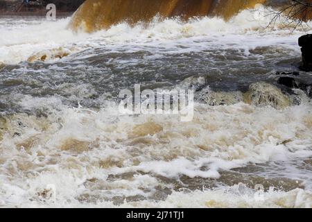 Starke Strömung in einem wilden Fluss, Chateauguay River, Provinz Quebec, Kanada Stockfoto