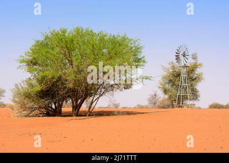 Windturbine (Windmühle) und Wasserspeicher zur Gewinnung von Grundwasser aus unterirdischen Grundwasserleitern mittels Bohrlöchern, Kalahari-Wüste, Namibia, Afrika ... Stockfoto