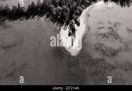 Drohnenaufnahme, Sepiafarben, Schilfguertel am Ufer des Wolfgangsee bei Strobl am Wolfgangsee, Salzkammergut, Land Salzburg, Oesterreich Stockfoto