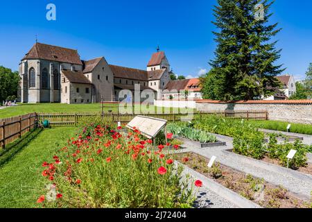 Klatschmohn im Krautergarten des Münster St. Maria und Markus, Mittelzell, Insel Reichenau, Bodensee, Baden-Württemberg, Deutschland Stockfoto