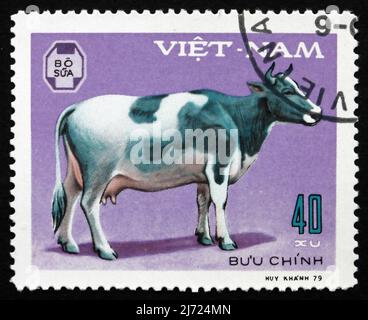 VIETNAM - UM 1979: Eine in Vietnam gedruckte Marke zeigt Kuh, Haustiertier, um 1979 Stockfoto