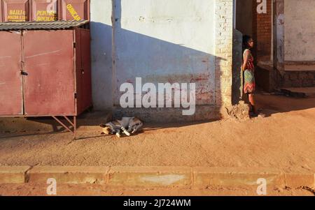 Ihosy, Madagaskar - 05. Mai 2019: Weißer und brauner streunender Hund, der auf einer staubigen Straße ruht, lokales madagassisches Mädchen, das sich auf der Gebäudeseite in der Nähe lehnt - typische Landschaft Stockfoto