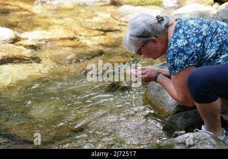 Ältere Frau, die Wasser aus dem Waldfluss in einer Tasse ihrer Hände hält, um es zu trinken Stockfoto