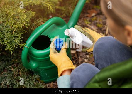 Frau gießt flüssigen Mineraldünger in Gießkanne für Gartenpflanzen Stockfoto