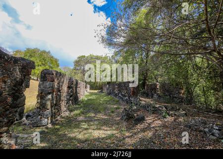 Schloss Dubuc auf der Halbinsel Caravelle - Trinite, Martinique, Französische Antillen Stockfoto