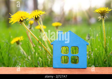 Flache Holzhausform vor einem Hintergrund mit einem Dandelionenfeld bei Sonnenaufgang. Immobilien-bezogenes Konzept. Stockfoto