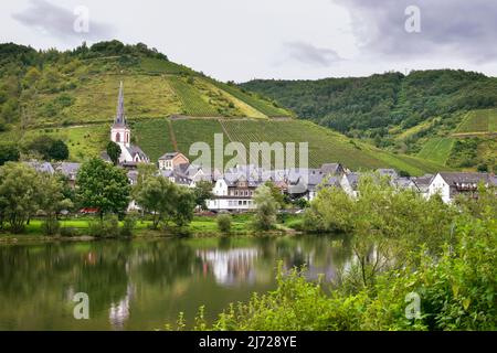 Dorf am Moselufer mit weißer Kirche und malerischen Häusern, Deutschland, Europa Stockfoto