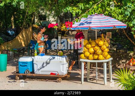 Tulum Mexico 02. Februar 2022 Street Food Früchte Kokosnüsse und Getränke auf typischen Straßen- und Stadtlandschaften in Tulum in Mexiko. Stockfoto