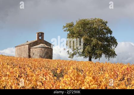 Herbstliche Landschaft mit der Kapelle Saint-Pierre in Beaujolais, Frankreich Stockfoto
