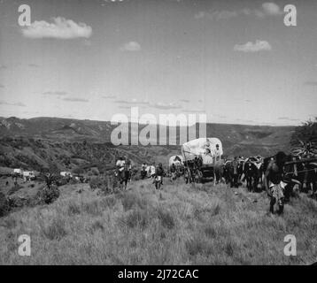 Der Great Trek ist eine Zeit der Not und Gefahr durch die wilden Zulu-Eingeborenen, die sich diesem Eindringen in ihr Land widersetzen. Shawn strebt danach, die Anforderungen des Grenzlebens mit Schwierigkeiten zu erfüllen, aber Katie fährt weiter. Sie sind hier gezeigt, wie sie das verbietenden afrikanische Veldt überqueren. 19.Mai 1955. Stockfoto