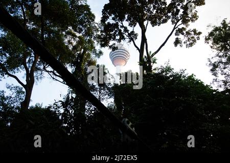 KUALA LUMPUR, MALAYSIA – 28. JANUAR 2020 die Menara Kuala Lumpur durch die Äste gesehen Stockfoto