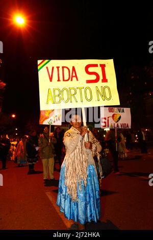 LA PAZ, BOLIVIEN, 22.. August 2013. Eine Aymara-Frau trägt ein Plakat mit der Aufschrift „Life Yes, Abort No“ während eines marsches, der vom Red Pro-Vida (Pro Life Network) organisiert wurde, um gegen die Entkriminalisierung von Abtreibungen zu protestieren. Bolivien debattiert seit März 2012 über die Entkriminalisierung von Abtreibungen. Stockfoto