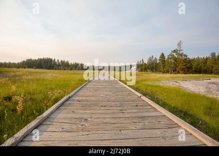 Holzstege in den geothermischen Gebieten des Yellowstone National Park, Wyoming, USA Stockfoto