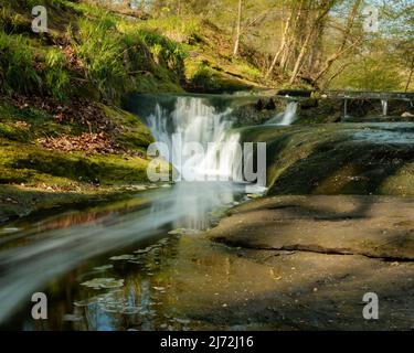 Eine Langzeitaufnahme, die das Wasser verlangsamt, das über den kleinen Wasserfall in Holywell Dene in der Nähe von Seaton Sluice, England, fließt Stockfoto