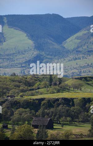 Blick auf die Columbia Gorge und eine alte Scheune im Pionierstil von einem Wanderweg im Frühjahr im Tom McCall Preserve in der Nähe von Rowena, Oregon, USA. Stockfoto