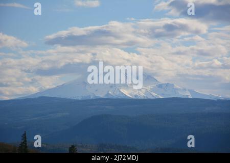 Die Nordostwand des Mt Hood von einem Wanderweg am Tom McCall Preserve, Columbia River Gorge, Rowena, Oregon, USA aus gesehen. Stockfoto