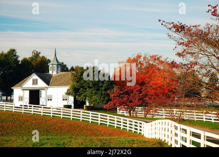 Herbst auf einer Pferdefarm, Kentucky Stockfoto