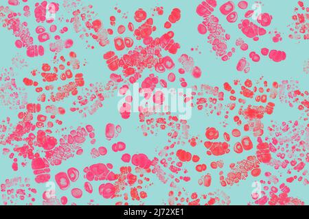 Rechteckiger abstrakter Hintergrund in Rot, Rosa und Blau. Stockfoto