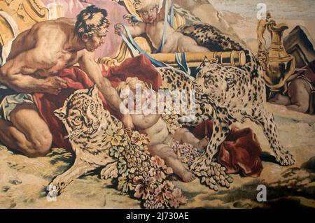 Detail eines Wandteppichs im königlichen Palast Colorno, Parma (Italien) Stockfoto