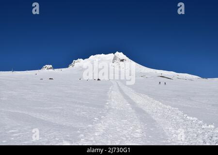 Landschaftsansichten auf dem präparierten unteren Abschnitt der Südseite des Kletterers zum Gipfel des Mt Hood, dem höchsten Berg von Oregon, im Januar 2022. Stockfoto