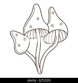 Abstrakte Pilze, Toadstool, Fliegenpilz. Ein Symbol für Wald, Herbst und Ernte. Gestaltungselement mit Umriss. Doodle, handgezeichnet. Flach. Schwarz w Stock Vektor