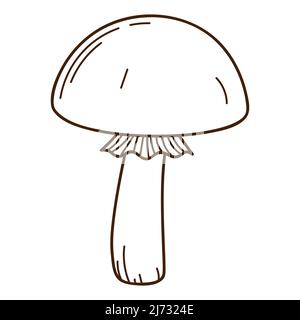 Waldpilz mit Mütze, schwarze Birke. Ein Symbol für Wald, Herbst und Ernte. Designelement mit Umriss. Doodle, handgezeichnet. Flaches Design. Bl Stock Vektor