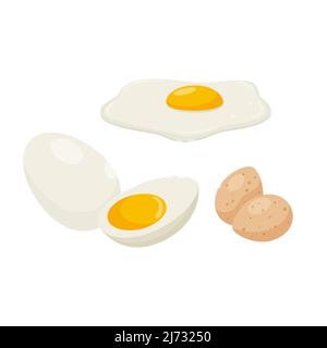 Spiegeleier, rohe und gekochte Eier. Gekochtes Hühnereier, Wachteleier. Ei mit Eigelb. Eine Lebensmittelzutat, ein Produkt tierischen Ursprungs. Cartoon-Stil. Farbe ve Stock Vektor
