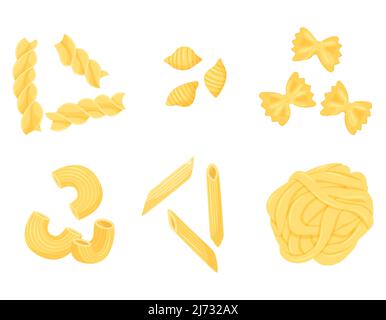 Eine Reihe von verschiedenen Arten von Pasta. Penne, Farfalle, Fettuccin, Conchiglie, Gomiti rigatti, Fusilli. Flach, im Cartoon-Stil. Die Farbvektordarstellung ist Stock Vektor