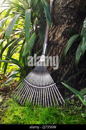 Breiter Laubrechen, der sich im Garten an einen Baum lehnt Stockfoto