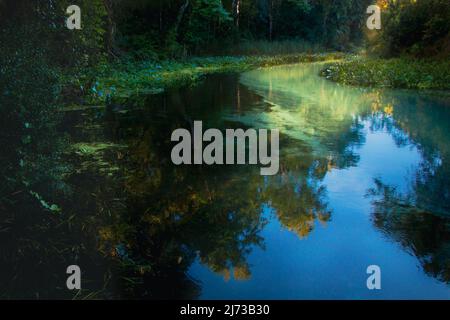 Klares blaues Wasser in Rock Springs Run im Kelly Park in Apopka, Florida Stockfoto