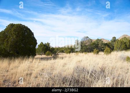 Verlassene Kelly Mine Gebiet in Magdalena, New Mexico. Stockfoto